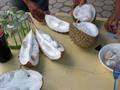 درخت دوریان یا قهوه سودانی